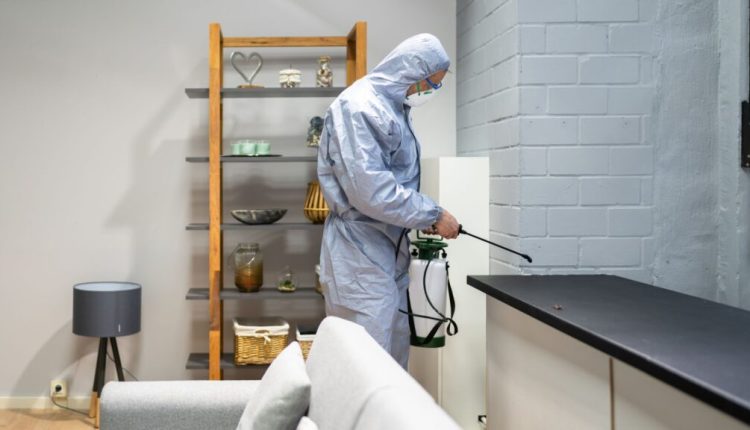 Home Moisture and Pest Infestations